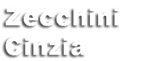 www.pellicceriazecchinicinzia.com